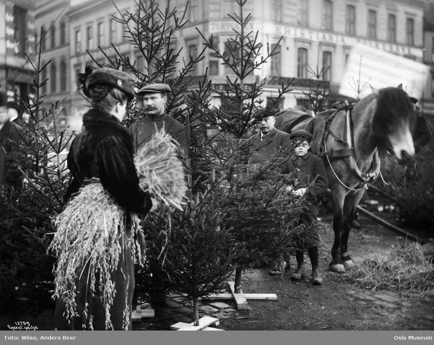 Juletresalg på Youngstorget 23. desember 1910.
