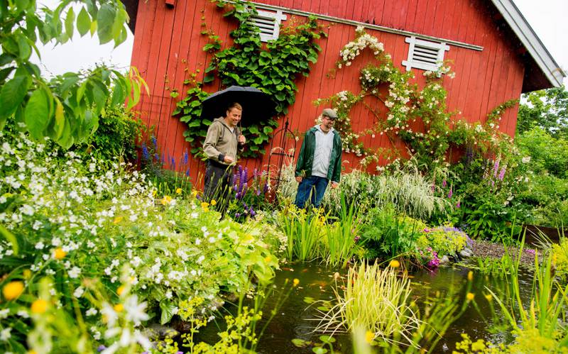 Ved siden av låven har Kenneth Ingebretsen og Tommy Tønsberg anlagt en hagedam med gullfisk og frodig planteliv. FOTO: VEGARD WIVESTAD GRØTT/NTB SCANPIX