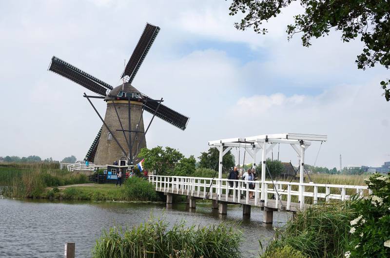 De 19 velbevarte vindmøllene i Kinderdijk forteller om nederlendernes utrettelige kamp mot vannmassene.      