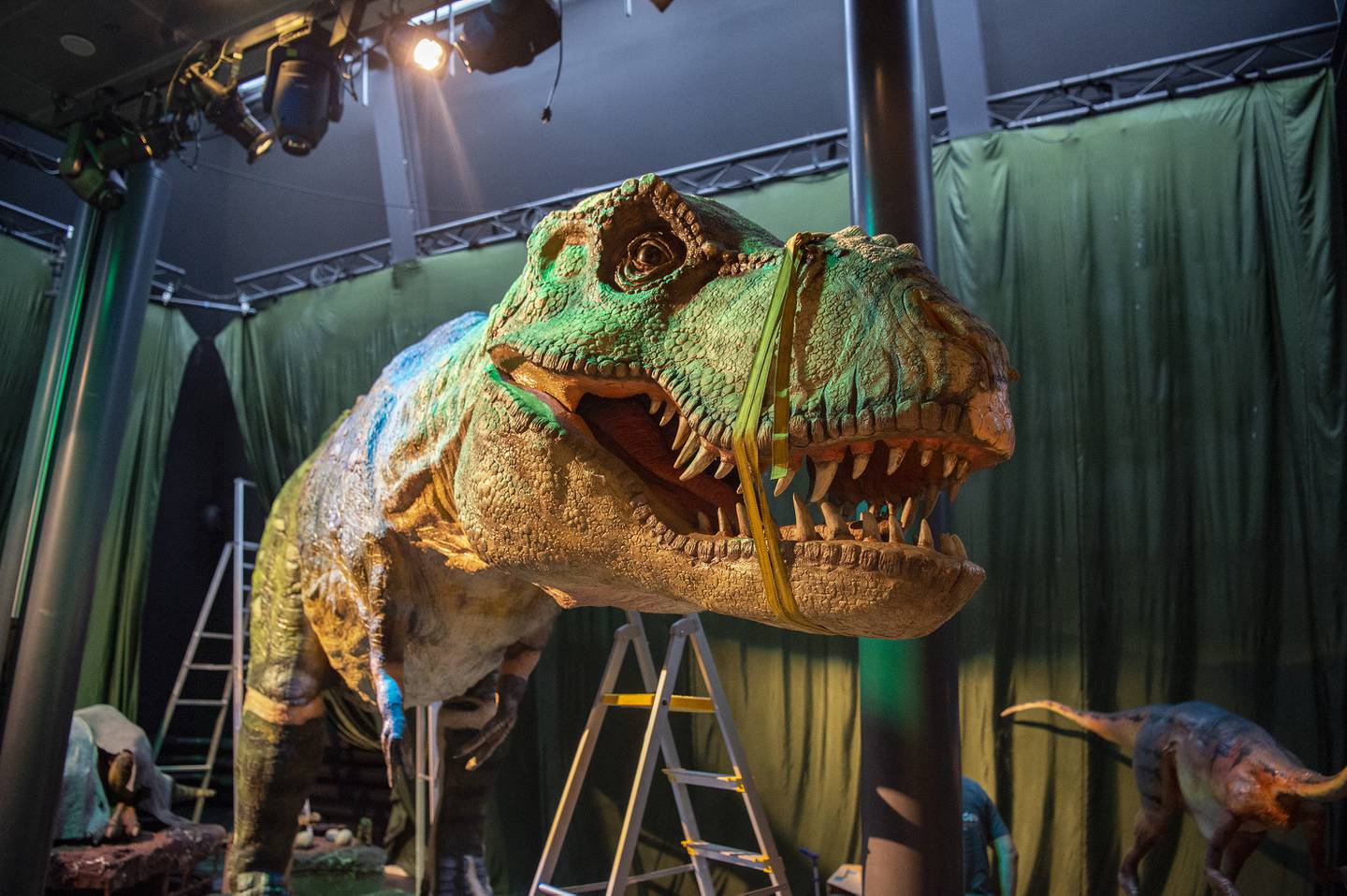 Tyrannosaurus rex og en rekke andre dinosaurer er i ferd med å bli klargjort.