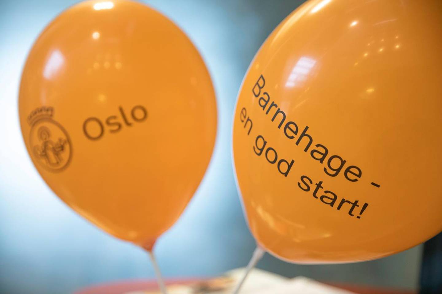 Søknadsfristen for barnehagene i Oslo er 1. mars.