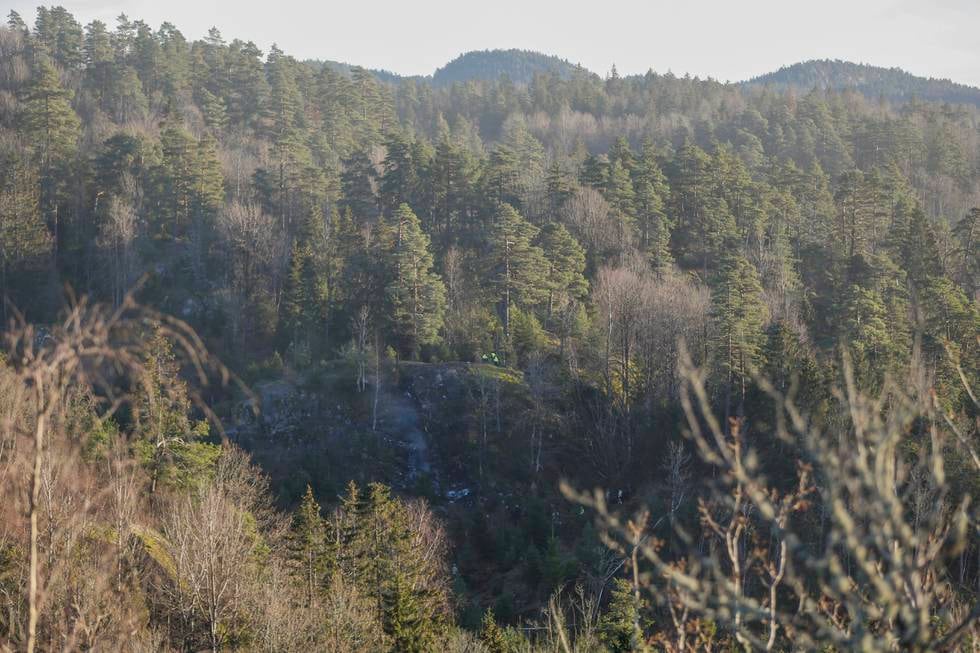 Småflyet gikk ned i ulendt terreng i en skråning i skogen i Larvik. Foto: Trond Reidar Teigen / NTB