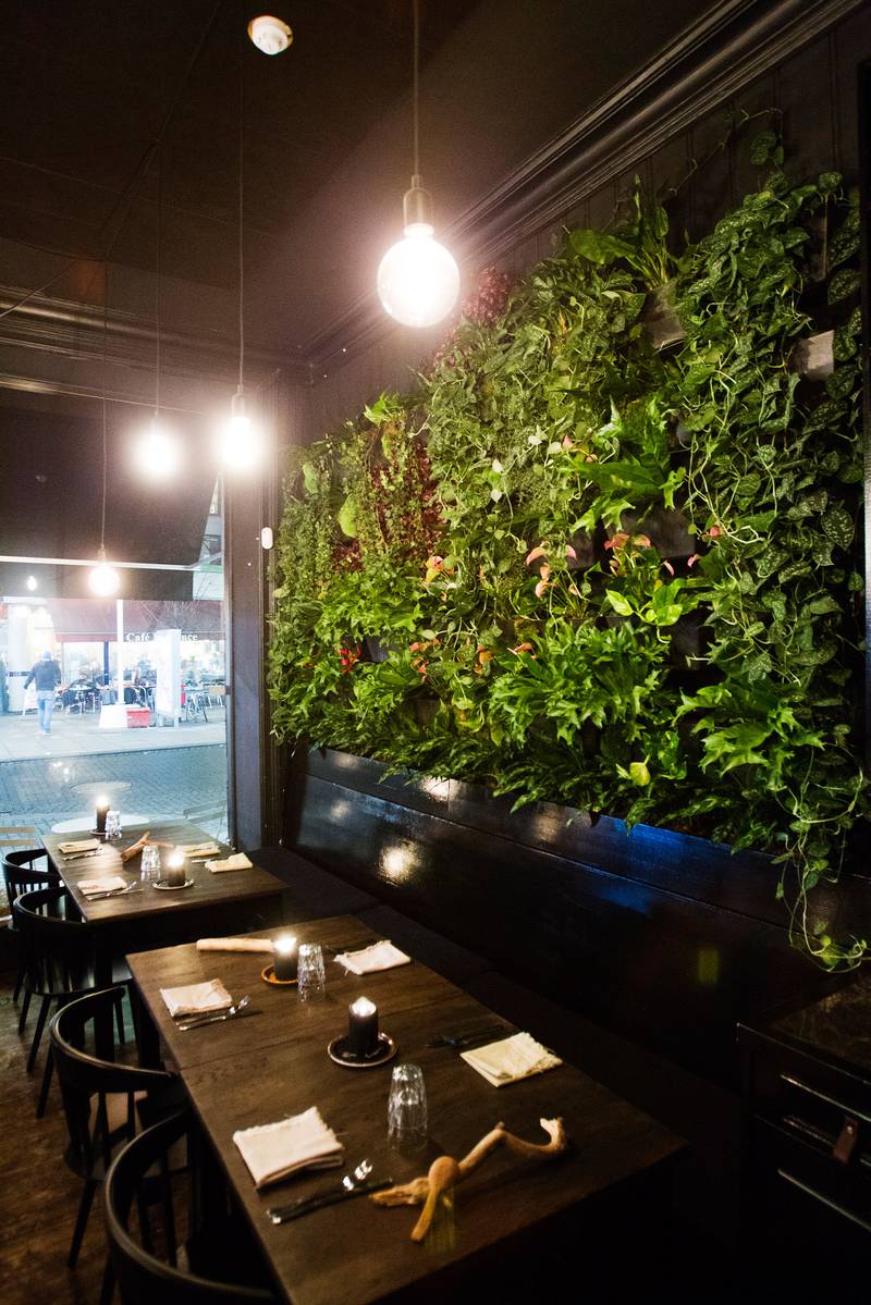 Åpent kjøkken, tunge gråtoner og en vegg med grønne planter preger det lille, intime lokalet. FOTO: ARNE OVE BERGO