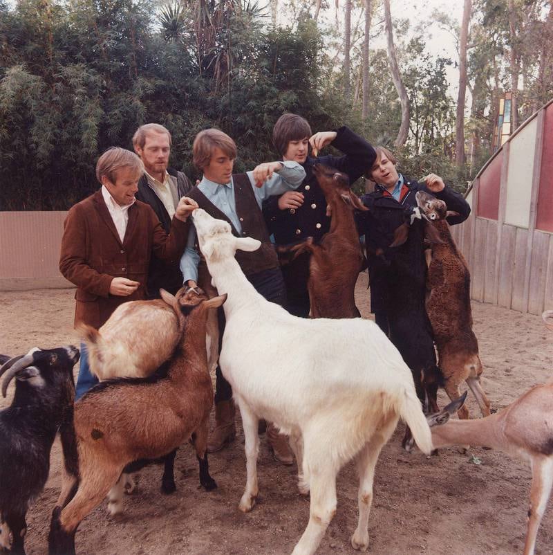 1966: The Beach Boys gjorde musikken mer fargerik med «Pet Sounds». FOTO: CAPITOL/EMI