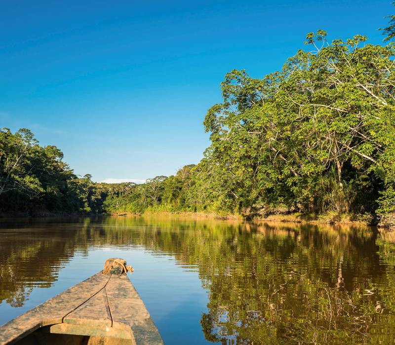 Å gli framover på en av Amazonas’ mange elver, gjennom den grønne, enorme regnskogen, er garantert en uforglemmelig opplevelse. FOTO: OSTILL/ISTOCK