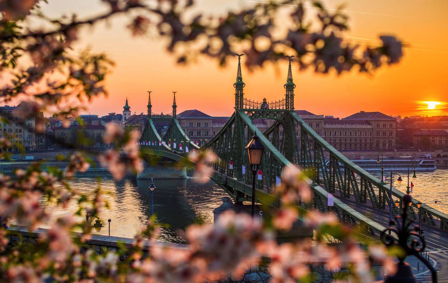 Budapest er mye billigere enn Roma. Og med Frihetsbroen og blomstrende kirsebærtrær i solnedgang skårer Ungarns hovedstad like høyt på romantikk-skalaen. FOTO: SHUTTERSTOCK/NTB SCANPIX