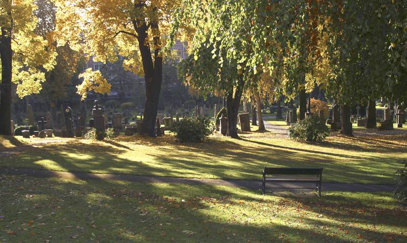 NB: Bildet er manipulert
Gravstøtter på kirkegård. Vår Frelsers Gravlund i Oslo.
FOTO: SCANPIX