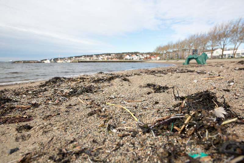 Ifølge kommunen er det behov for en real rensing av sanden på Sjøbadet. Her fra et tidligere år.