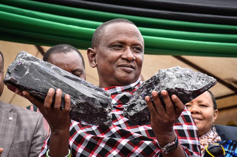 Tanzanian small-scale miner Saniniu Kuryan Laizer, 52, poses with two of the biggest of the country's precious gemstones, Tanzanite, as a millionaire during the ceremony for his historical discovery in Manyara, northern Tanzania, on June 24, 2020. - Laizer found the stones weighing 9.27 and 5.1 kilogrammes respectively in the northern Mirerani hills, an area which President John Magufuli had fenced off in 2018 to stop smuggling of the gem. He sold them to the government for 7.7 billion Tanzanian shillings (nearly $3.3 million/2.9 million euros). The broken biggest record of Tanzanite was 3.5 kilogrammes. (Photo by Filbert RWEYEMAMU / AFP)
