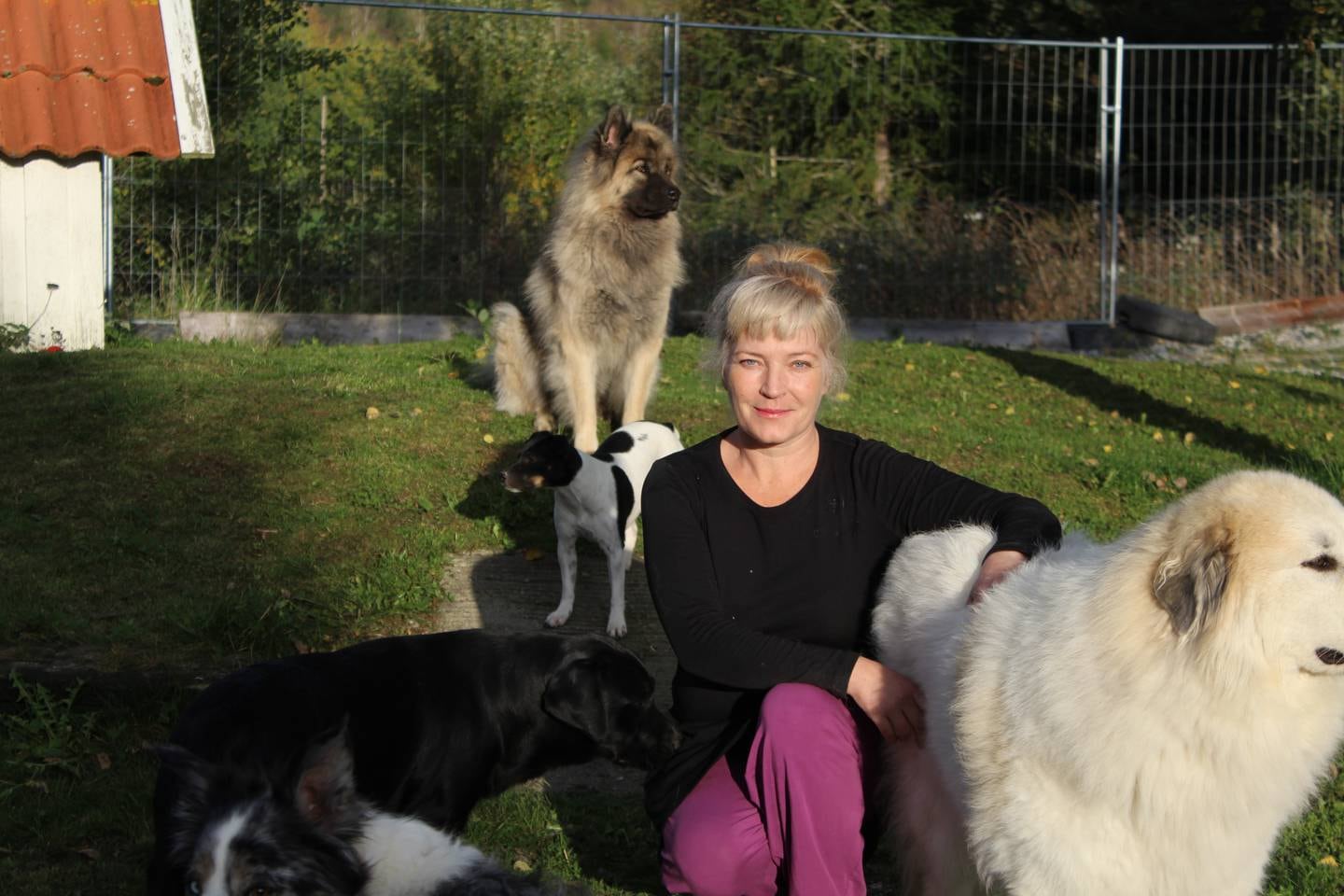 Emma Garlant med et utvalg av sine mange hunder.