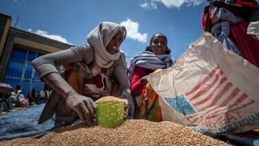 FN gjenopptar utdeling av mat i Etiopia etter omfattende tyveri av korn