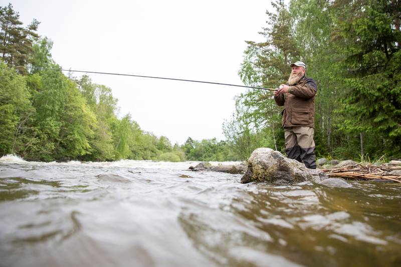 Laksesesongen åpnet i Aagaardselva torsdag. Her er Rune Askautrud i aksjon fredag. Han mener det er vanskelig å få laks i elva, noe som gjør det ekstra gøy når det først biter.