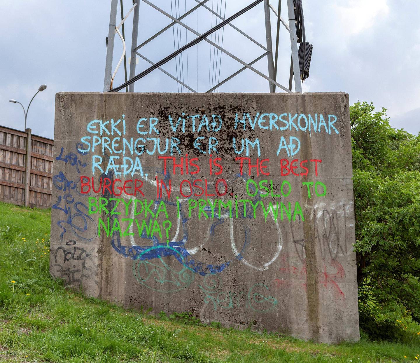Oslo har hatt nulltoleranse for graffiti. Nå er Hlynur Hallsson invitert for å lage graffiti på eksisterende bygg i serien «Seven Works for Seven Locations». FOTO: MARTINE STENBERG/OSLOBIENNALEN