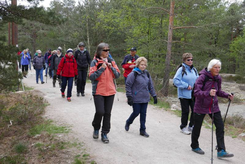 STORT OPPMØTE: Omlag 50 personer møtte opp for å gå tur i Fredrikstadmarka på mandag formiddag.