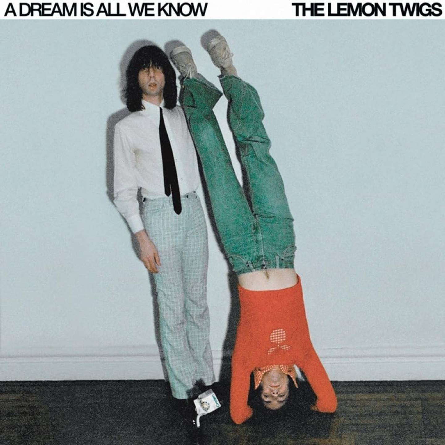 The Lemon Twigs: A Dream Is All I Know
