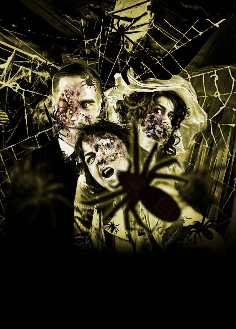Kanskje ikke du skal ha med deg mora di på Spökhotellet Gasten, som i år er rammet av en edderkoppinvasjon. FOTO: LISEBERG