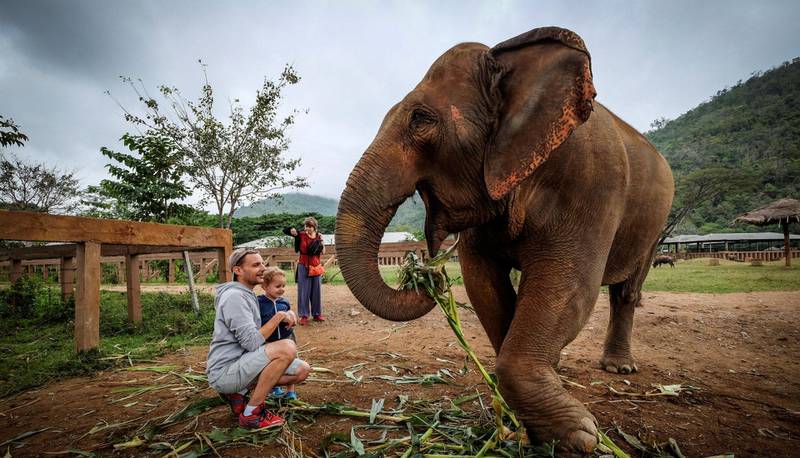 Uansett hvor gøy det ser ut, ikke ri på elefanter. FOTO: ANURUDDHA LOKUHAPUARACHCHI/NTB SCANPIX