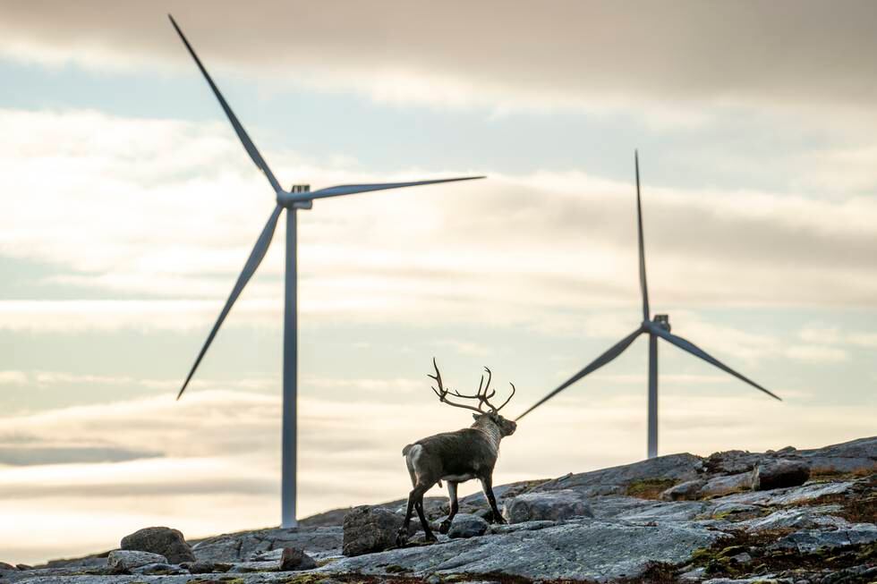 Vindkraftutbyggingen i Åfjord nevnes som et eksempel av Kim Gabrielli i UN Global Compact Norge, på hvilke muligheter for jobbskaping som ligger i mer satsing på fornybar energi.