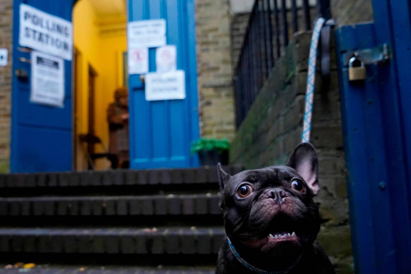 A dog is tied up to railings outside St John's parish hall polling station in London as Britain holds a general election on December 12, 2019 (Photo by Niklas HALLE'N / AFP)
