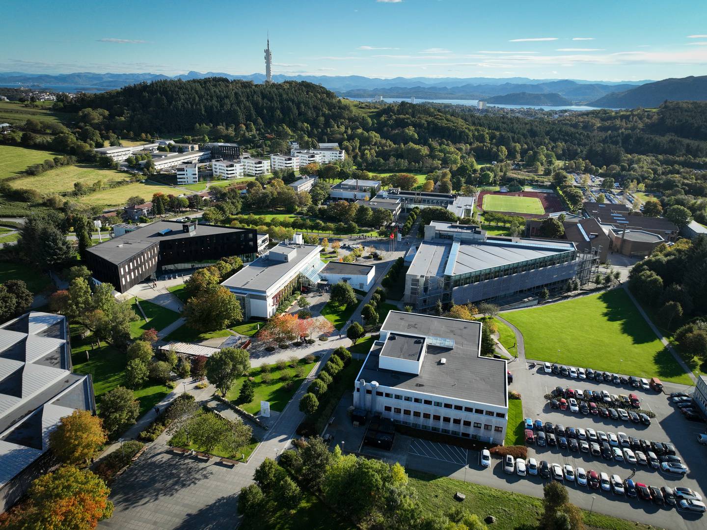 – Universitetet i Stavanger tilbyr et bredt antall utdanninger som er nyskapende, relevante for arbeidslivet med internasjonal aktualitet, sier Susanna King.
