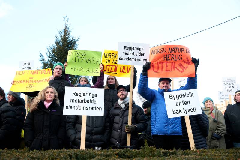 lvemotstandere protesterer mot regjeringen. Demonstranter med plakater under protestaksjonen mot regjeringens vedtak om ikke å felle fire ulveflokker i ulvesonen i Hedmark.