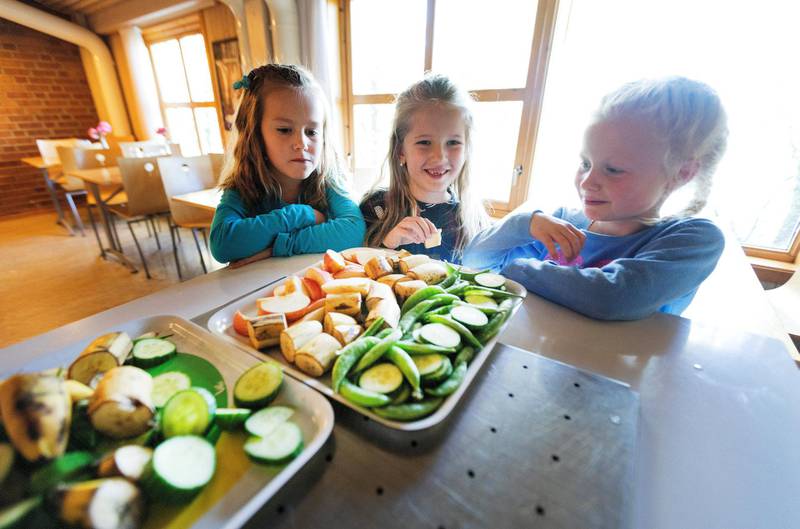 SKOLEMAT: Mange barn får frukt i norske skoler. Nå raser debatten om finansiering av en mer helhetlig lunsj i skolen. ILLUSTRASJONSFOTO: GORM KALLESTAD/NTB SCANPIX
