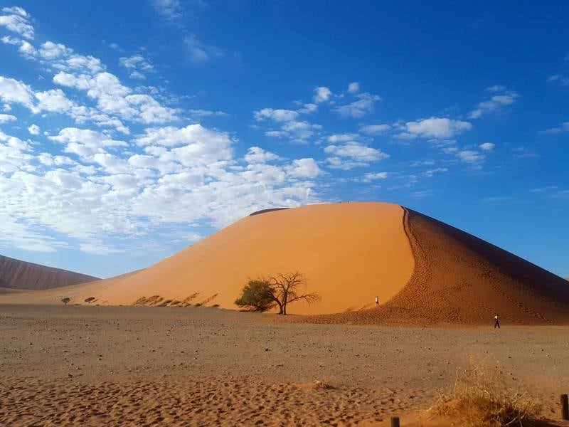 Sanddynene i Sossusvlei bør helst bestiges om morgenen, før varmen blir uutholdelig. 