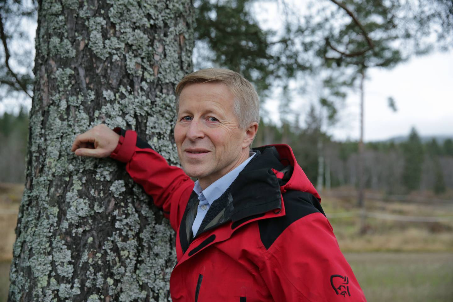 – Over 600 tilbudte skogområder er til behandling hos vernemyndighetene, og skogeierne er klare til å tilby flere, forteller Per Skorge, administrerende direktør i Norges Skogeierforbund.