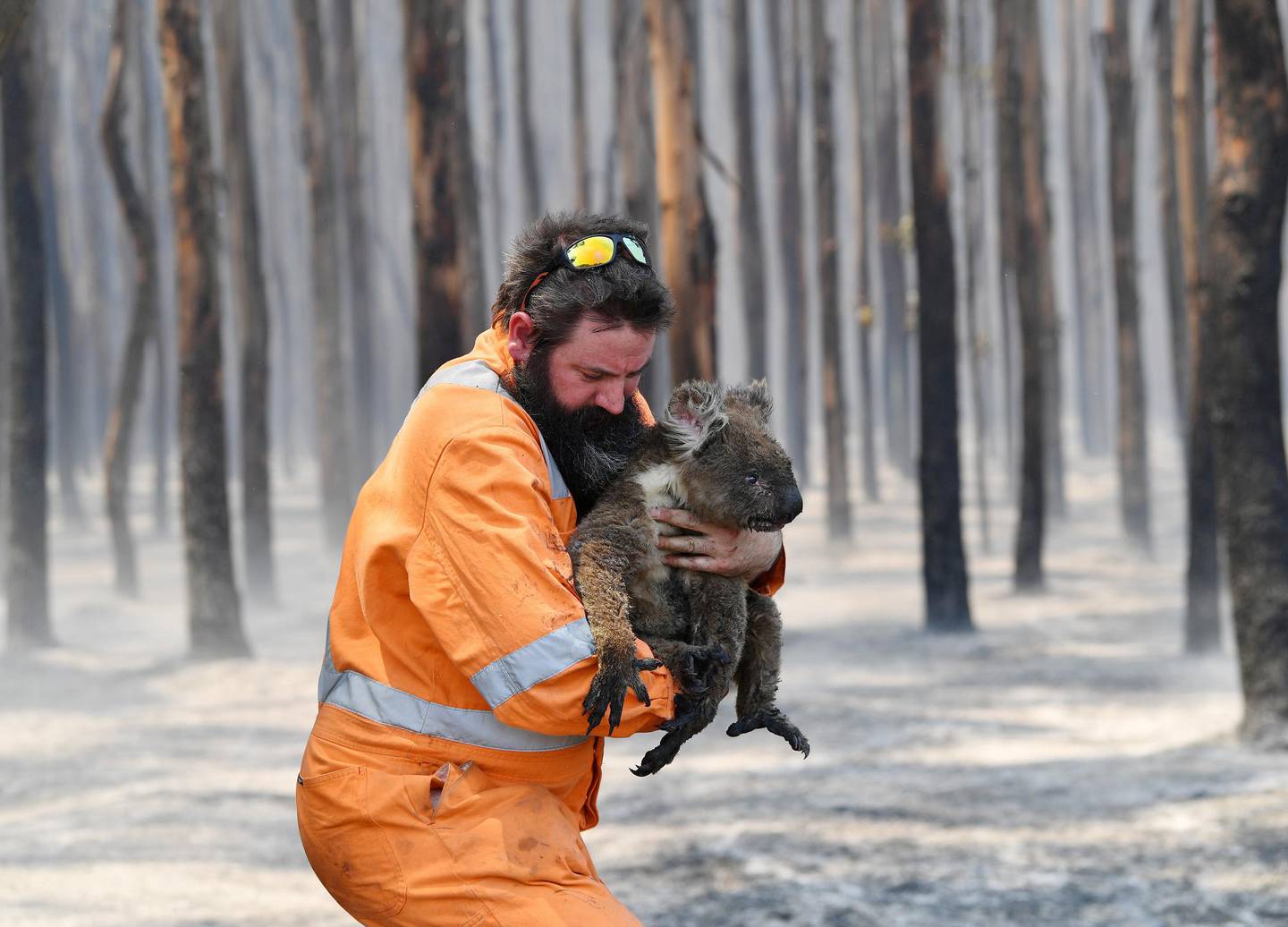 Adelaide wildlife rescuer Simon Adamczyk is seen with a koala rescued at a burning forest near Cape Borda on Kangaroo Island, southwest of Adelaide, Australia, January 7, 2020.   AAP Image/David Mariuz/via REUTERS    ATTENTION EDITORS - THIS IMAGE WAS PROVIDED BY A THIRD PARTY. NO RESALES. NO ARCHIVE. AUSTRALIA OUT. NEW ZEALAND OUT.     TPX IMAGES OF THE DAY