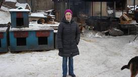 Kald og mørk jul i Kyiv: – Mange dager er jeg like sulten som ei gatebikkje
