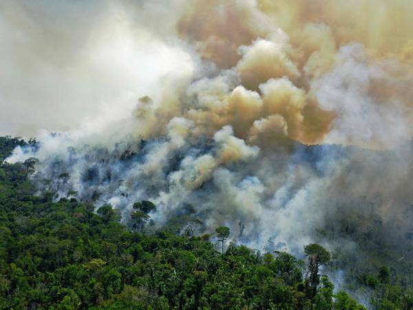 Ekspert om tilstanden til Amazonas: – Det er nesten som om man holder pusten 