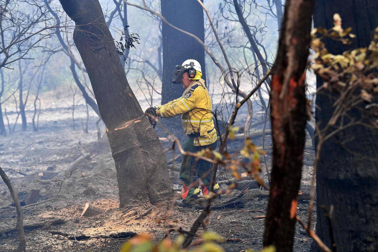CORRECTION - This photo taken on December 18, 2019 shows volunteer firefighter Andrew Moyle cutting down burnt trees in Dargan, some 120 kilometres from Sydney. - Bushfires have been raging along Australia's east coast for months, burning three million hectares (7.4 million acres) -- equivalent to the size of Belgium -- and razed more than 800 homes in worst-hit New South Wales alone. (Photo by Saeed KHAN / AFP) / �The erroneous mention[s] appearing in the metadata of this photo by Saeed KHAN has been modified in AFP systems in the following manner: [Andrew Moyle] instead of [Andrew Moyles]. Please immediately remove the erroneous mention[s] from all your online services and delete it (them) from your servers. If you have been authorized by AFP to distribute it (them) to third parties, please ensure that the same actions are carried out by them. Failure to promptly comply with these instructions will entail liability on your part for any continued or post notification usage. Therefore we thank you very much for all your attention and prompt action. We are sorry for the inconvenience this notification may cause and remain at your disposal for any further information you may require.�