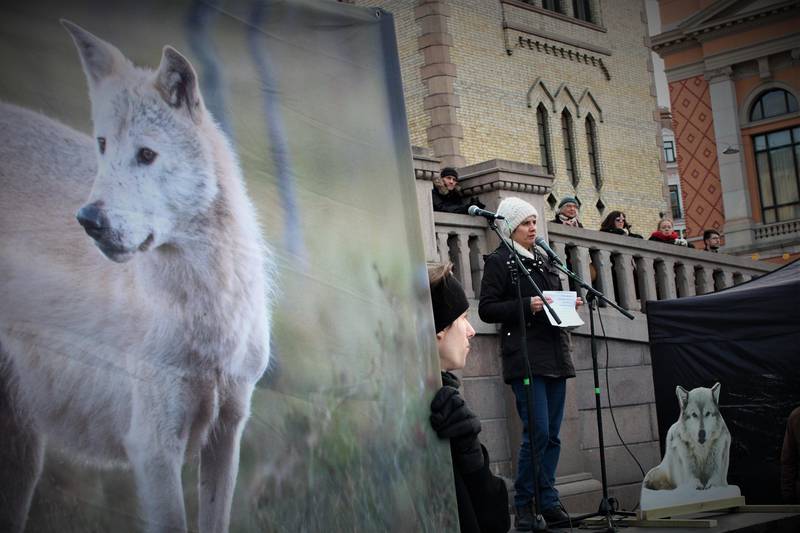 Siri Martinsen, leder i NOAH. Demonstrasjon for ulv utenfor Stortinget 12. januar 2019.