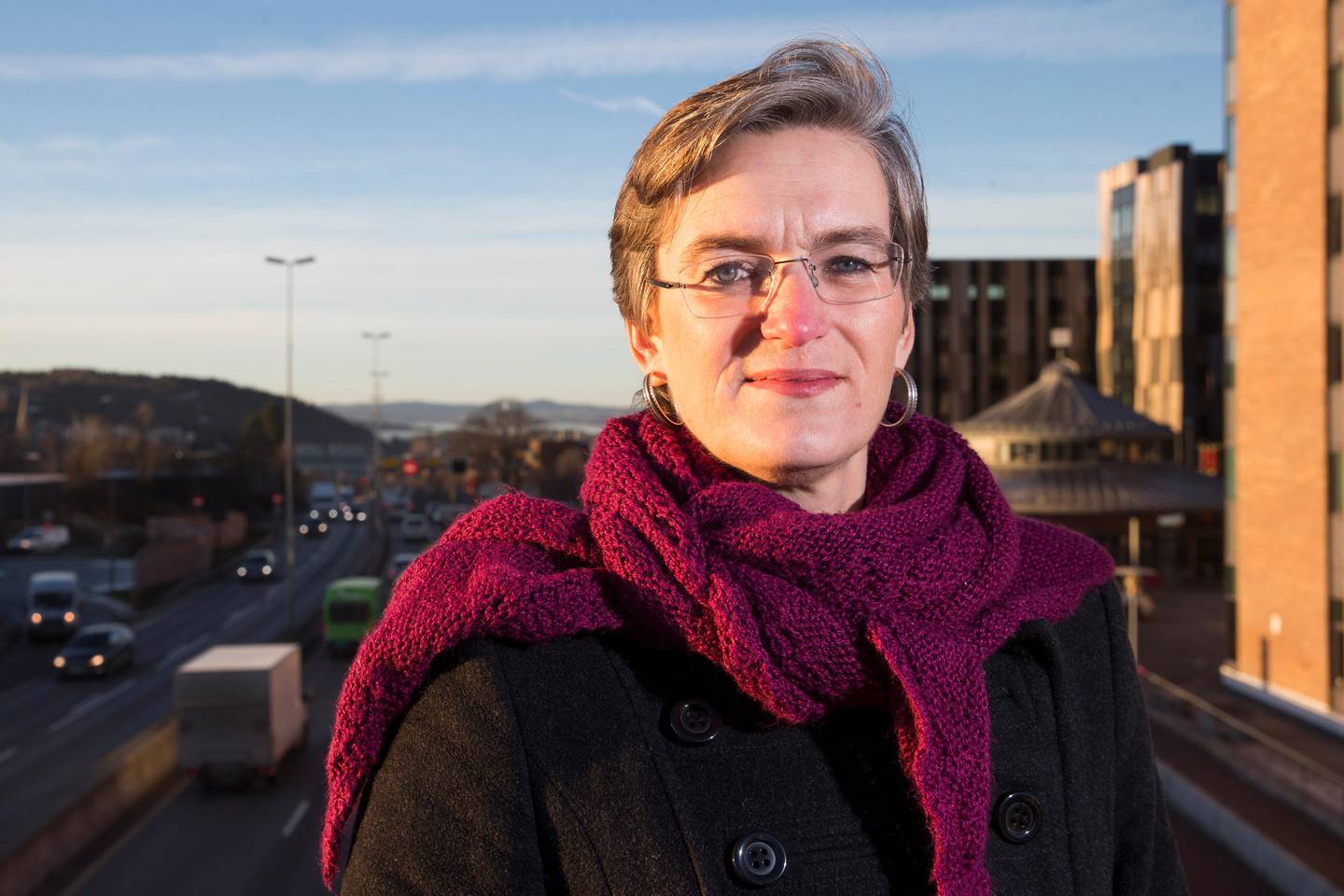 Oslo  20161202.
Ellen Hambro, direktør i Miljødirektoratet.
Foto: Håkon Mosvold Larsen / NTB scanpix