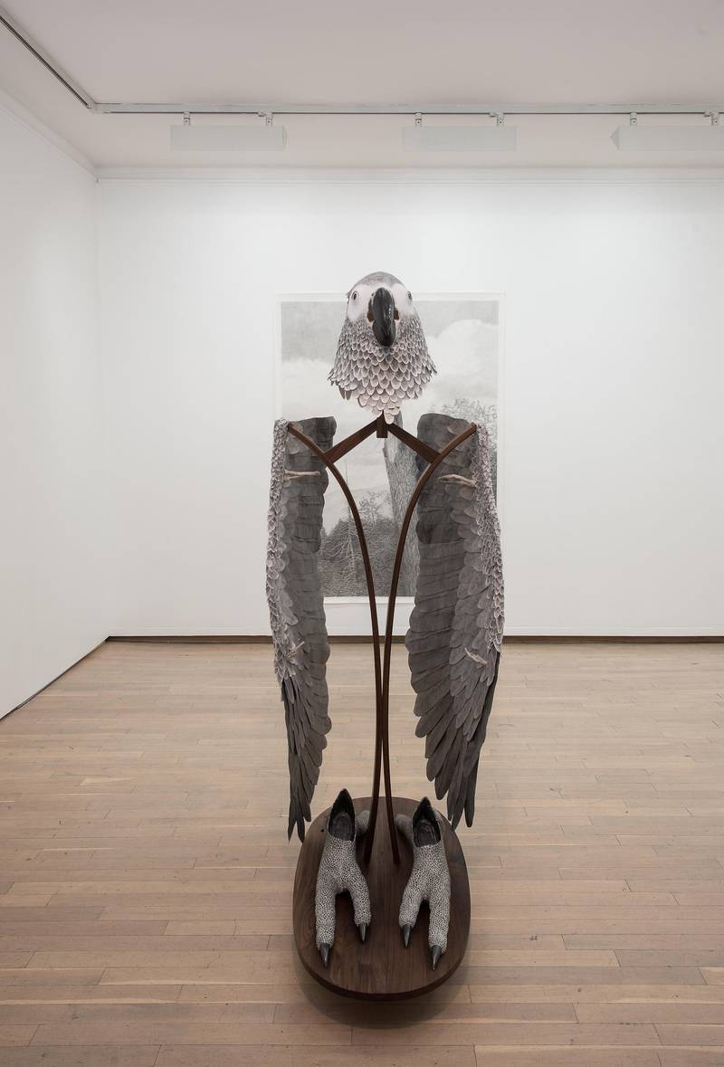 Vanna Bowles lar tegningen vokse fra et flatt papir til tredimensjonal skulptur.