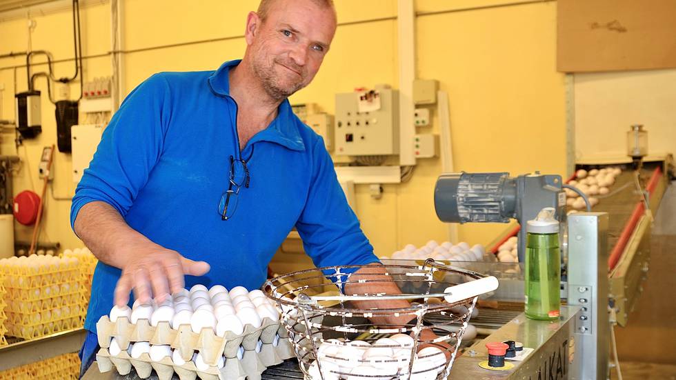 Lars leverer egg til Nortura, selger fra gårdsutsalg og egen butikk