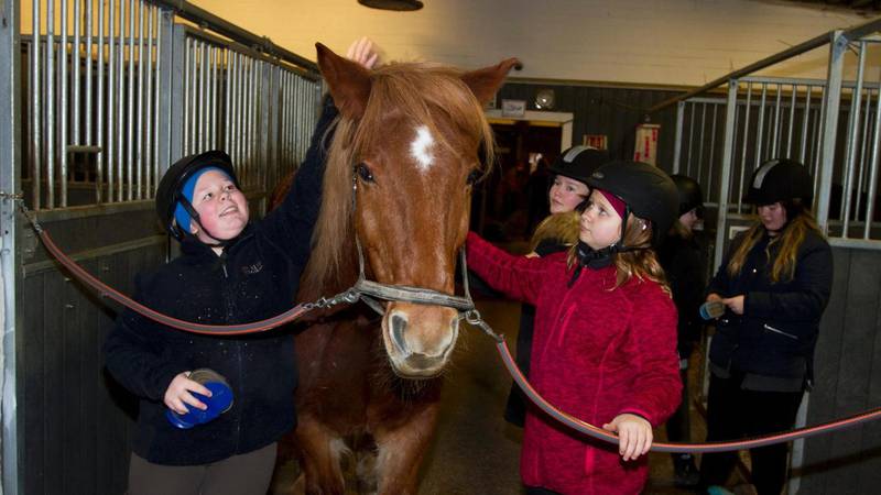 Vinterferietilbudet på Hjørgunn er populært. For to år siden deltok Celine Barslund og Amalie Nesøen på gårdsferie, hvor også hesten «Johnsen» fikk litt ekstra stell og kjærlighet.