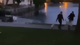 VIDEO: To menn mistenkt for mishandling av svaner