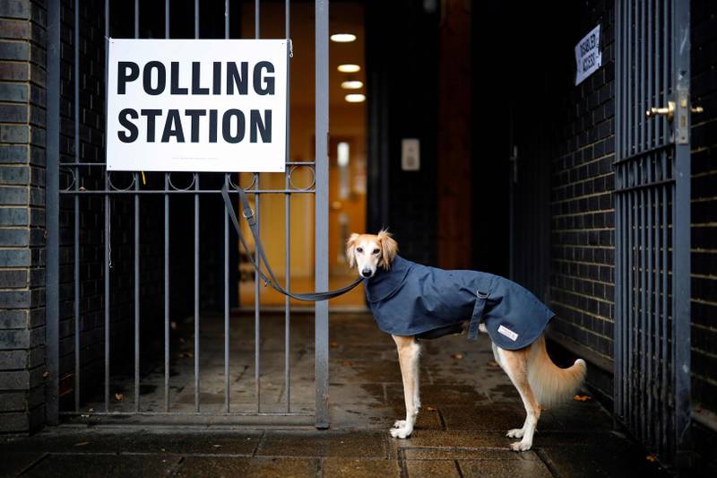 A dog, wearing a raincoat, waits for its owner to return outside a polling station in north London, as Britain holds a general election on December 12, 2019. (Photo by Tolga Akmen / AFP)