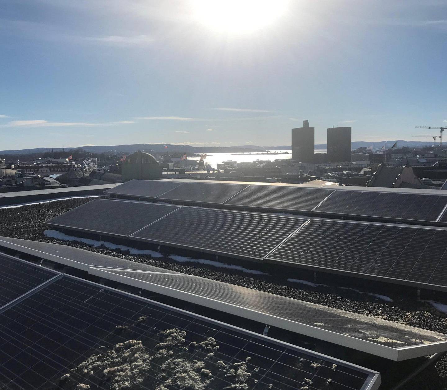 UTNYTTER TAKET: Slik ser solcelleanlegget til Oslo tinghus ut. FOTO: JOHN VIGE PEDERSEN/OSLO TINGHUS