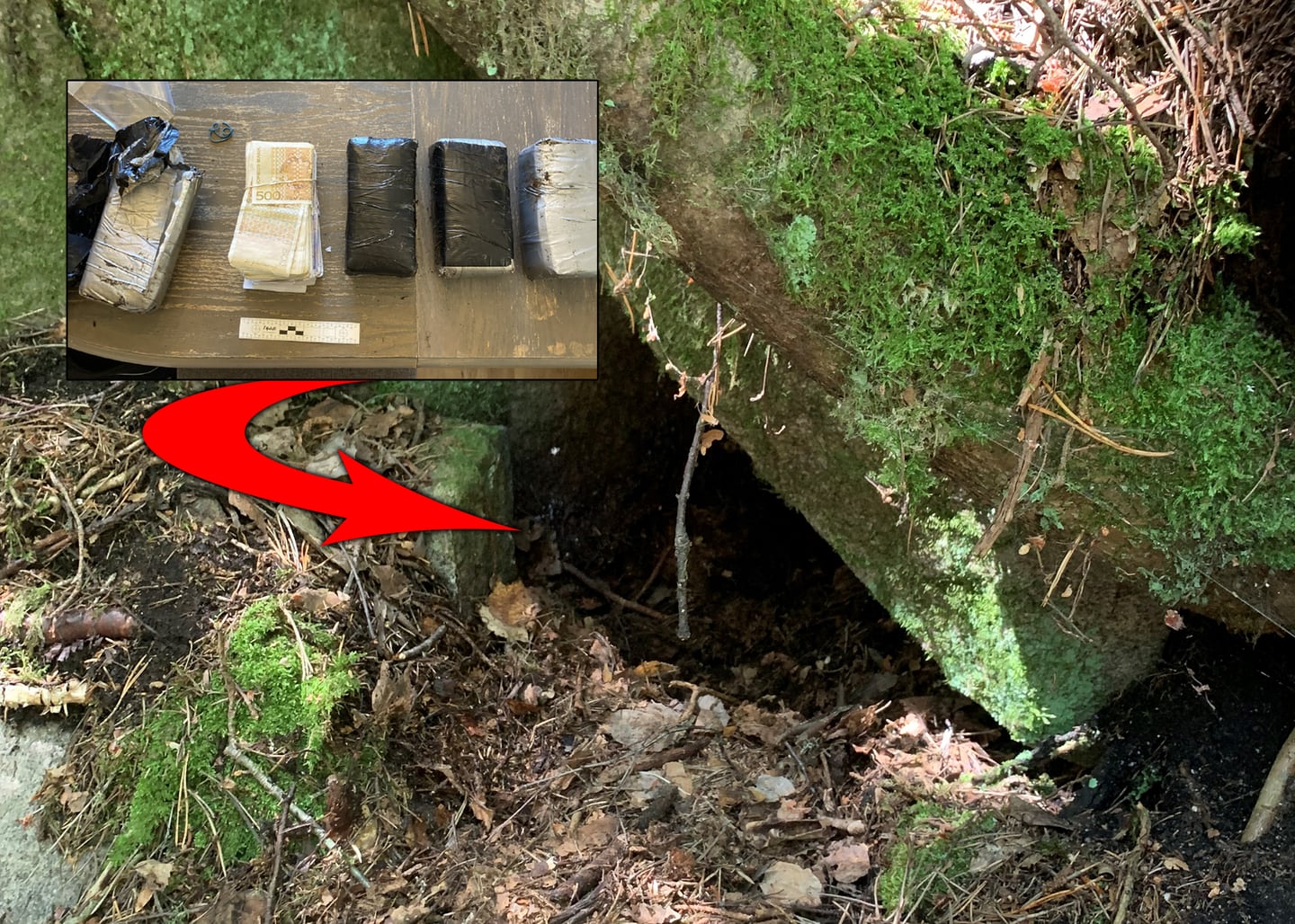 Pengene ble funnet i dette hulrommet i nærheten av Våpenhula i Mossemarka, en liten grotte hvor det ble lagret utstyr for motstandsbevegelsen Milorg under andre verdenskrig.